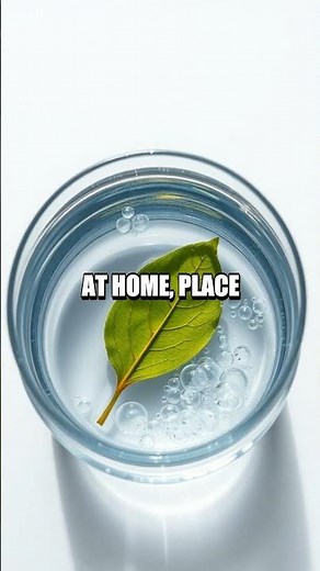 The Sparkle of Photosynthesis: A Kid's Guide to Light and Leaves