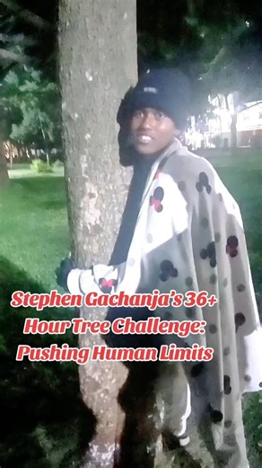 Stephen Gachanja’s 80 Hour Tree Challenge:Pushing Human Limits #kenyadigitalnews #trending #truphena