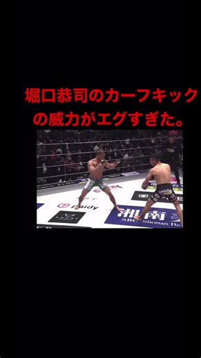 堀口恭司のカーフキックの威力がエグすぎた。RIZIN 堀口恭司 扇久保博正 カーフキック RIZIN40 shorts
