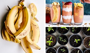 Banana Peel Uses: 12 Shockingly Amazing Ways To Try - Craftsonfire