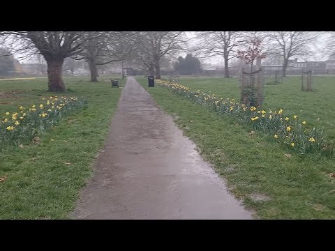 Rainy Spring Walk in a London Park 🌧️ Relaxing Nature Walk UK |love to travel | Video 42