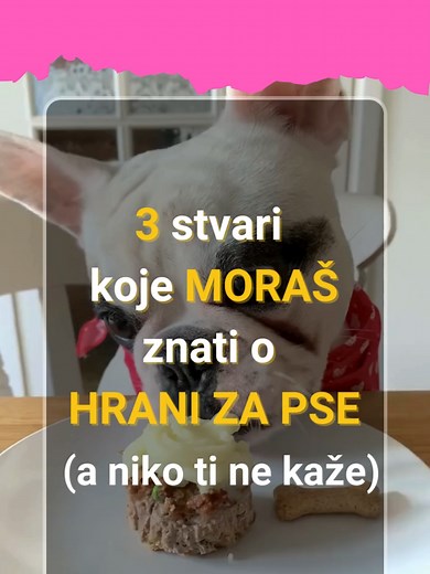 3 stvari koje moraš znati o hrani za pse a koje ti niko ne kaže🤔 #mojbff #hranazapse #ishranapasa