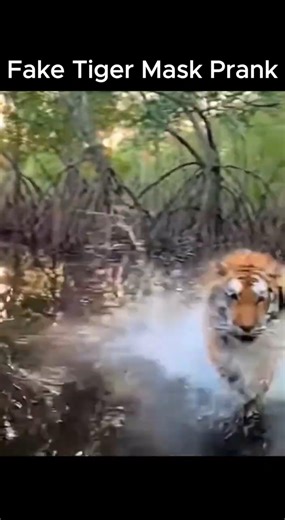 Surprise Attack by the Tiger Mask