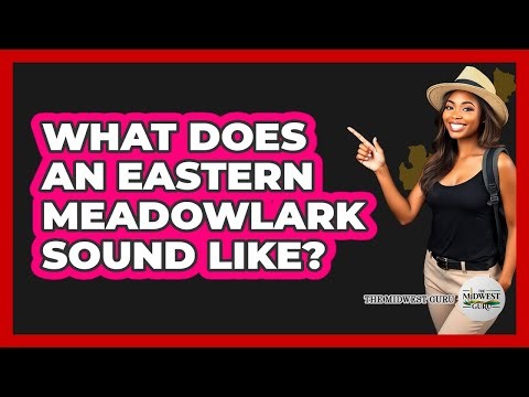 What Does An Eastern Meadowlark Sound Like?