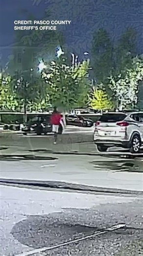 Deputies search for 2 connected to 26-vehicle 'burglary spree' in Pasco County
