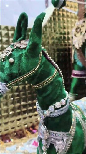 JAY RAMAPIR. .🙏 #jay ho talavdi na pir # baba ramdev #