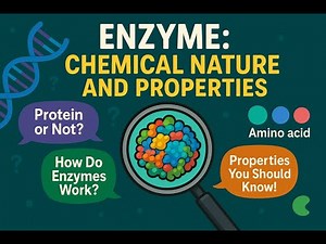 Enzymes Explained: Chemical Nature, Structure & Key Properties!