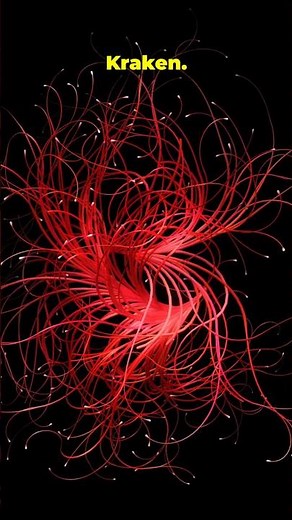 The Top 10 Cryptids Trending Right Now: Fact vs. Fiction.