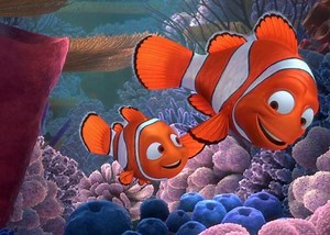 Movie Review: 'Finding Nemo 3D' — Fresh Fish