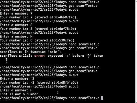C programming: error checking with scanf and while loops