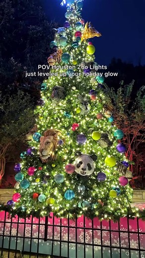 Iris Chang | Houston TX Food on Instagram: "Zoo Lights 2025 is officially here! ✨ From Nov 21–Jan 4, the Houston Zoo transforms into a glowing holiday wonderland. It’s open every night from 5:30–10:30 PM (last entry 9:30), and it feels like stepping into a holiday storybook. Some of the highlights this year: • The dreamy Iridescent Immersion • New Wild Wonder Lights projections • The bold and colorful Neon Playground • A walk through Holiday Grove with dancing lights • A cozy stop at the Yuletid