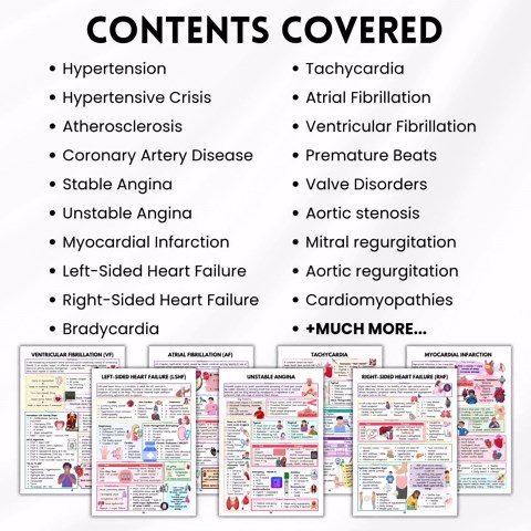 Cardiovascular Study Guide Bundle | 85  Pages Nursing Notes, Quizzes & Worksheets | Printed   Digital PDF | Cardiology Exam Prep - Etsy