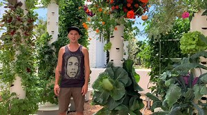 Learn how to make a delicious cabbage & cilantro salad freshly harvest from our aeroponic Tower Farm. This salad includes cilantro, red onions, tomatoes, and cabbage. The dressing used in this salad is made from lemon, olive oil, garlic, cumin, salt, pepper and a tad of agave syrup. Visit https://agrotonomy.com/ to learn more | Agrotonomy Tower Farms