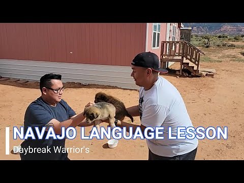 Navajo Handling Verbs
