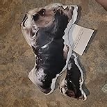 Custom Pillows with Picture, Customized Funny Pillow，Personalized Photo,Custom Pet Pillow ，Custom Face Pillow for Boyfriend Girlfriend for Memorial Gifts for Cat Dog Memorial Gifts