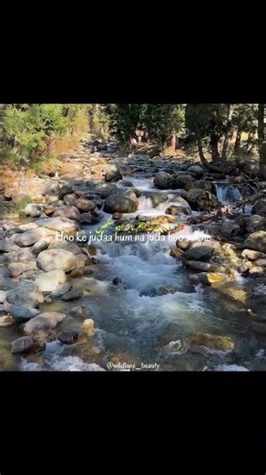 Esa Hota He Aankho Ke saamne To bhout bura Lagta hai 🥺🥺🥺🥺 Don t Repost Without Credit