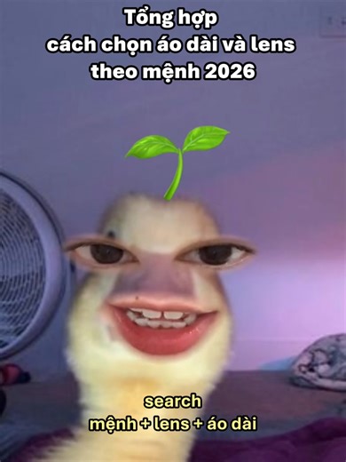 Bộ sưu tập lens ngũ hành đầu năm: chọn màu hợp mệnh của bạn để rước may mắn về nhà 🧧 #ngũhành#lensphongthuỷ#phongthuy #moodylenses #beautytok #tips