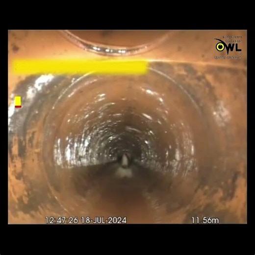 CCTV + Smoke Drain Survey expose rat activity