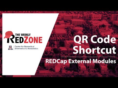 REDZone - Survey QR Codes
