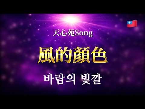 風的顏色（바람의 빛깔）｜天心苑Song｜韓文讚美（附歌詞）