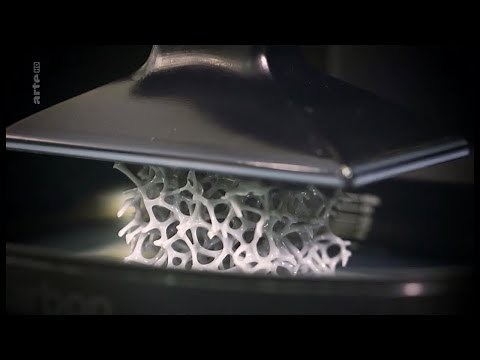 Imprimante 3d le futur est en marche [Documentaire ]
