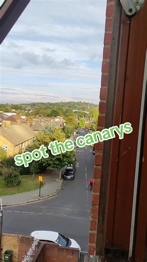 bionic-45 (@bionic456)’s videos with original sound - bionic-45