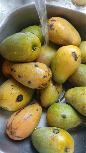 Discover the Delicious Variety of Jamaican Mangoes