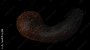 Realistic render of a spinning half Long Neck (Russell) Avocado with the pit on black background. The video is seamlessly looping, and the 3D object is scanned from a real Avocado with the pit.