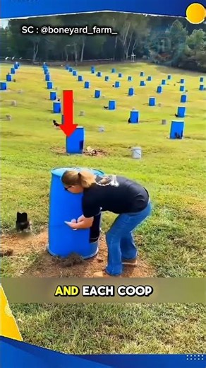 Why Are These Chicks Put Into a Machine? The Truth Will Surprise You!