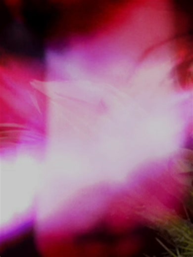 Bloom - Aqyila🎧 #aqyila #lyrics_songs #lyricsedit #aesthetic #fyp