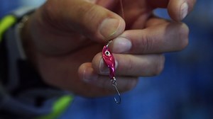 3.8K views · 72 reactions | Learn about the all new Clam Pro Tackle Guppy Flutter Spoon, at 1/50oz this shallow water lure is perfect for Panfish and don't be surprised to catch a big Predator fish as well!!! For more great tips, subscribe to our YouTube page at www.youtube.com/ClamIceFishing | Clam Outdoors | Facebook