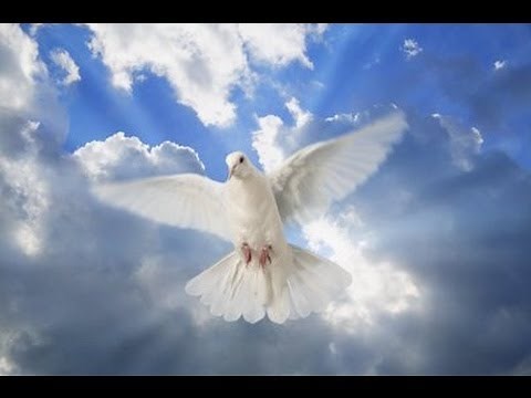 Saname Señor con tu Espiritu - Padre Mario Peralta