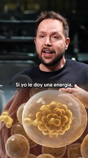 ¿Qué es la INFLAMACIÓN y por qué PUEDE ser un problema? 💥