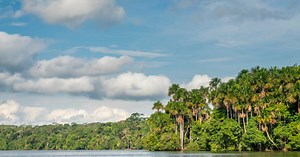 Au Pérou, des images rares du peuple Mashco Piro alertent les associations