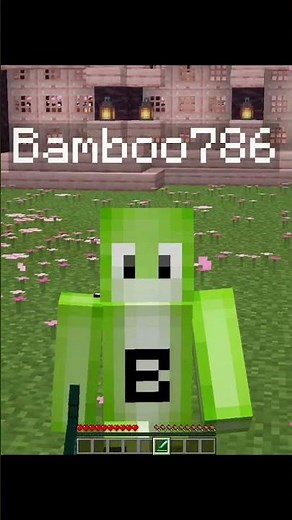 The Most Private Way to Message in Minecraft!