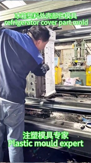 冰箱塑料外壳部件模具 refrigerator cover part mold