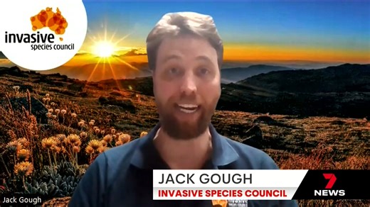 A controversial bill that aims to increase wild horse culls in Koscuisko National Park has been tabled in the State Parliament. The Member for Wagga Joe McGirr is behind the bill - after a petition to repeal the Wild Horse Heritage Act reached more than 11 thousand signatures. | 7NEWS Riverina
