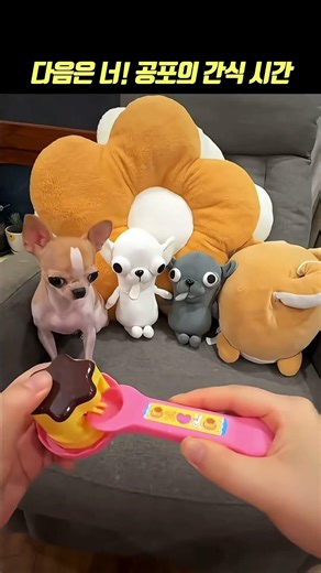 Your Turn! Snack Time🔥 #puppy #snacking