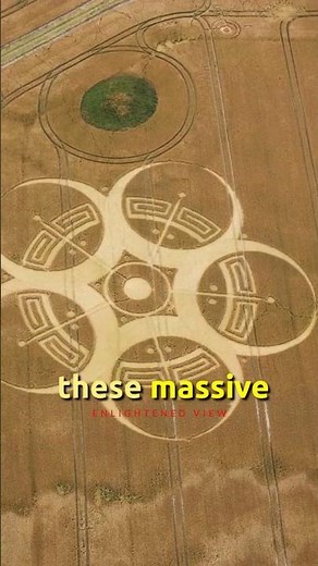 Crop Circles: Where Are They Coming From?