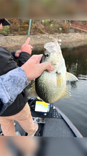 6.5K views · 44 reactions | Delta Jig Co. on Reels | Facebook