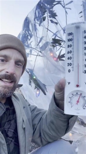 Cold Protection That Actually Works (Thermometer Proof)