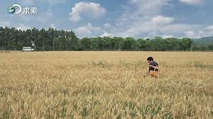 214 reactions · 3 comments | #StartofSummer (Chinese: 立夏) is the seventh #solarterm of the year which signals the transition of seasons. On this day, the sun's rays reach an angle of 45 degrees with the earth and the temperature rises quickly. #HangzhouCulture | Hangzhoufeel | Facebook