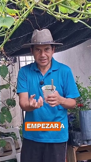 No es para que la semilla germine más rápido
