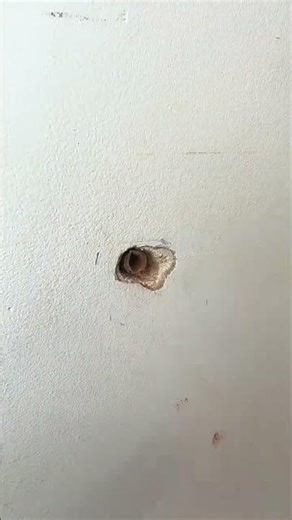 wall shelf bearing installation process #shortsvideo