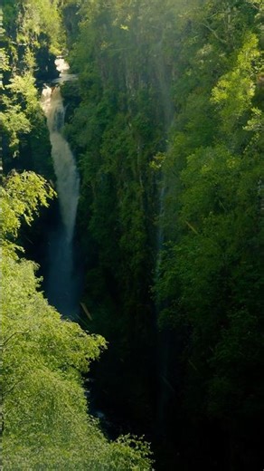 Took this shot 2 years ago with my old Panasonic LX100, safe to say I had no clue what I was doing