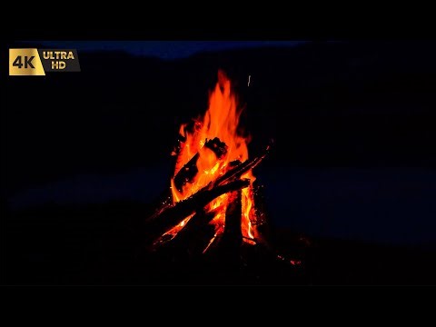 Crackling Fire & Campfire Sounds | Perfect for Study, Relaxation & Unwinding at Night