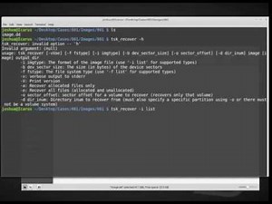 Forensic Data Recovery in Linux - tsk_recover