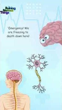 What Actually Happens During a Brain Freeze 🧠🧊 #Shorts
