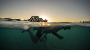 In Bahamas, conch fishing is way of life. But for how long?