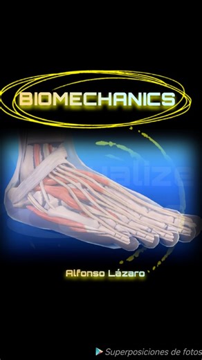 Alfonso Lázaro on Instagram: "Key Aspects of Sports Foot Biomechanics The scientific study of the mechanics of human movement, specifically how the foot and ankle interact with the ground during sports. The foot acts as a "mobile adapter" for absorbing shock upon landing (pronation) and a "rigid lever" for pushing off during propulsion (supination). In running, the foot strikes on the outer heel (lateral) and moves to the inside (medial), a process of pronation that allows for impact absorption.